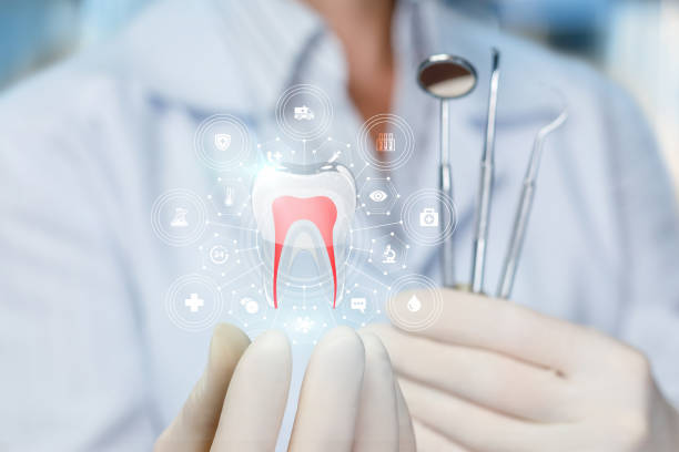 Reliable Temple Hills, MD Holistic Dental Care Services Solutions